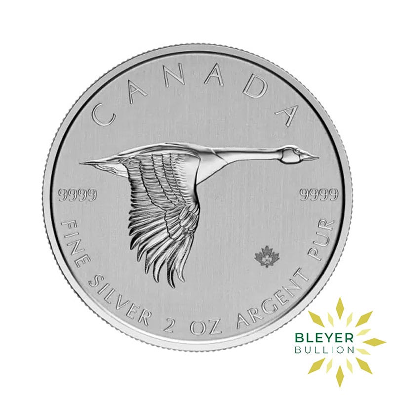 2oz Silver Canadian Goose Coin, 2020 (Margin Scheme)